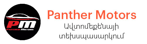 Panther Motors